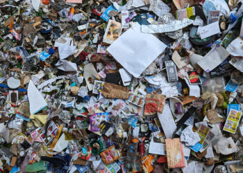 small format coalition