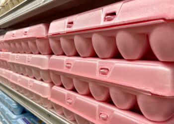 Grant funds EPS foam recycling in Nebraska