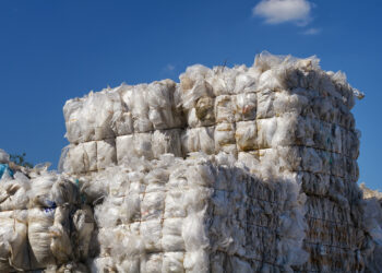 Film bale prices soften; paper and cans stable