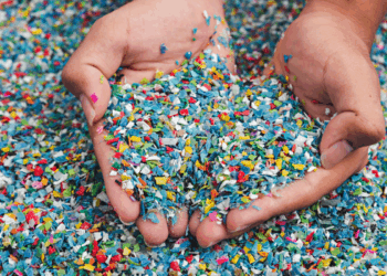 Ellen MacArthur Foundation sets 2030 plastics agenda