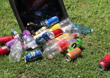 California posts initial recycling rates