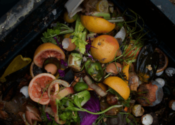 OC Waste, Agromin partner on organics recycling program