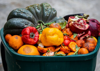 Wisconsin outlines steps to cut landfill food waste