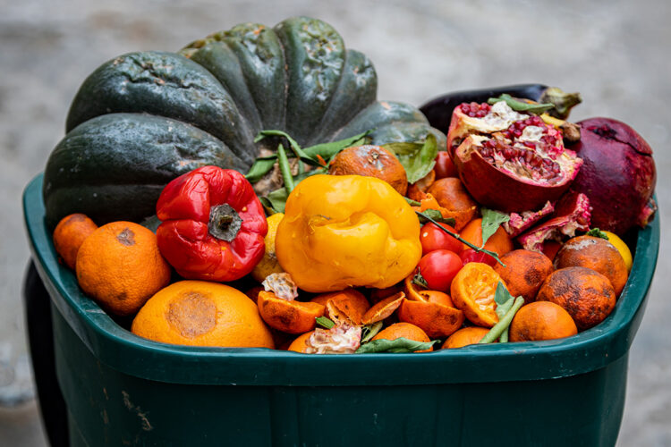 Wisconsin outlines steps to cut landfill food waste