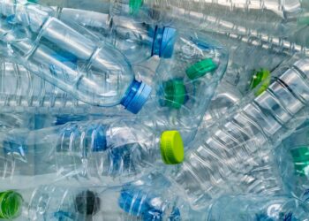 With RPET in crisis, focus turns to solutions