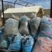 Bags of collected agricultural twine for Cleanfarms twine recycling contest