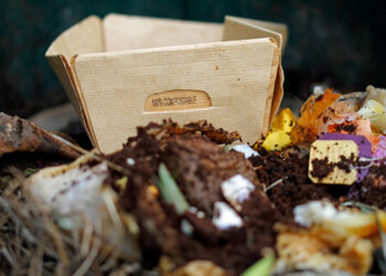 Three questions EPR needs to answer on compostable packaging