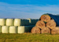 Washington studies ag plastics recovery potential