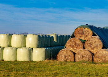 Washington studies ag plastics recovery potential