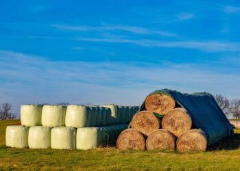 Washington studies ag plastics recovery potential