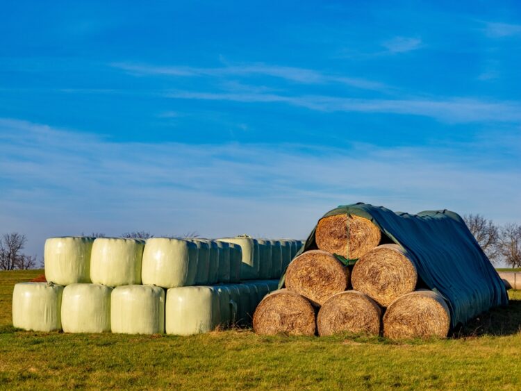 Washington studies ag plastics recovery potential
