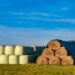 Washington studies ag plastics recovery potential